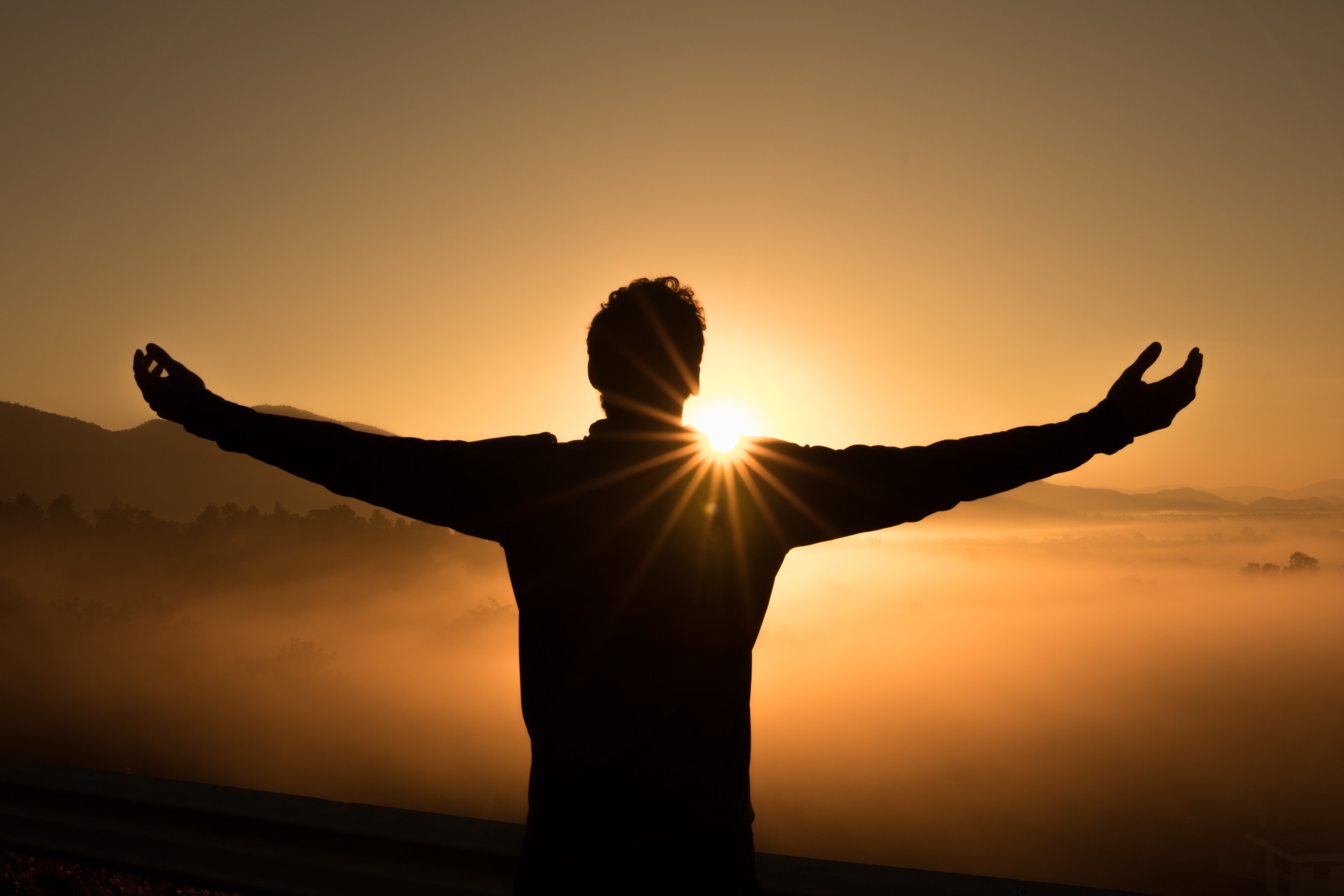 Open Arms